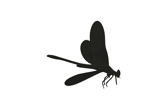 Black Bug Dragonfly Review