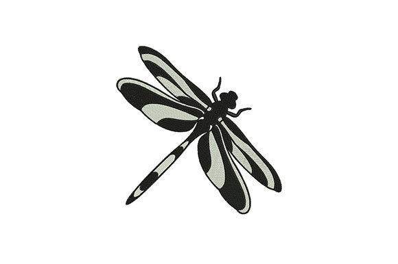 Colore Black Dragonfly Review