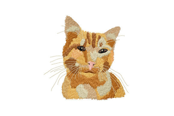 Cute Ginger Cat Embroidery Review