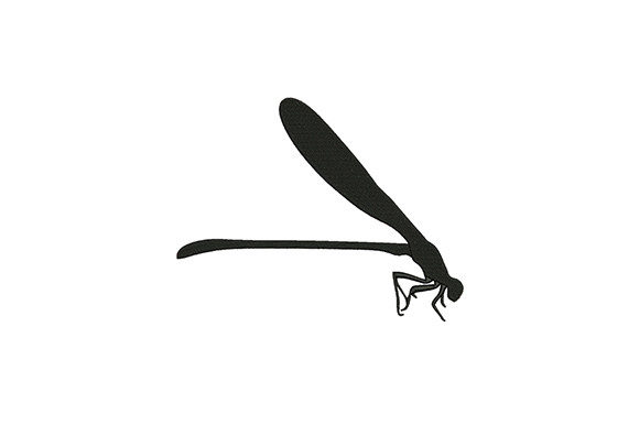 Dragonfly Digitized Review
